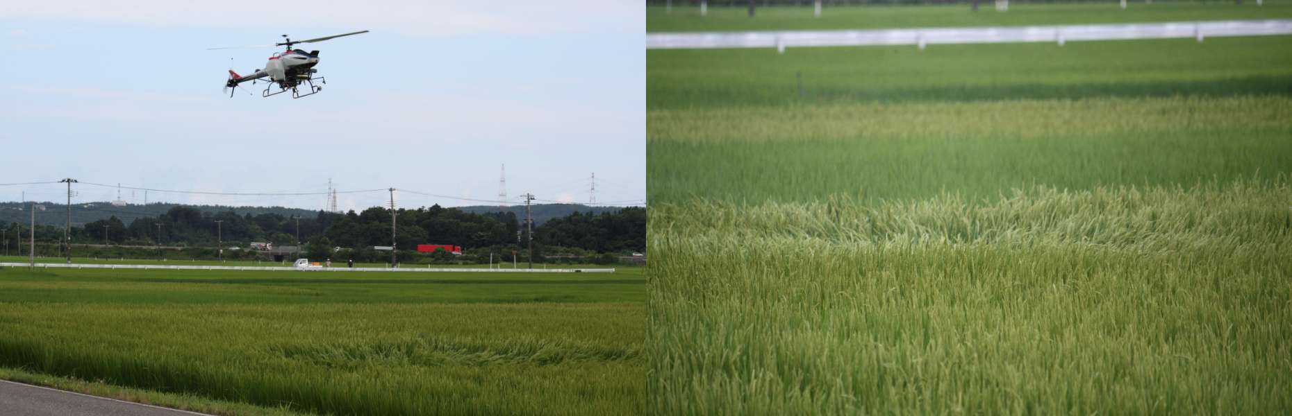 柏崎刈羽ヘリ防除